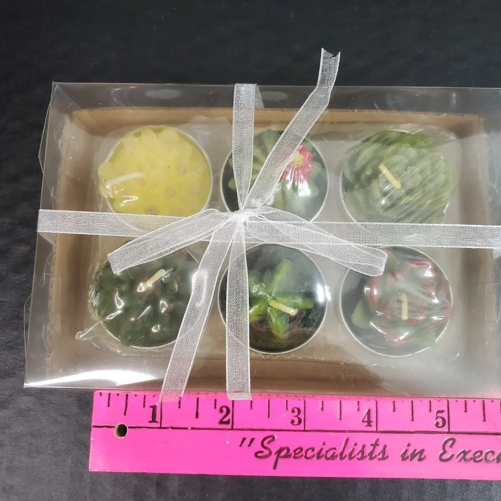 Set of 6 Mini Succulent Tea Light Candles Mini Plants Cactus NEW Gift Box‎